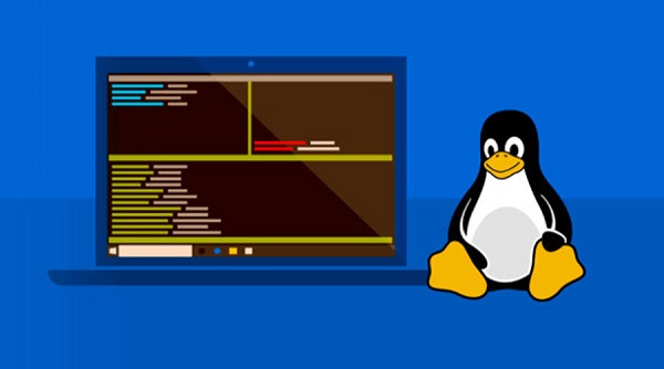 Các lệnh Linux cơ bản và cách sử dụng nhanh 1